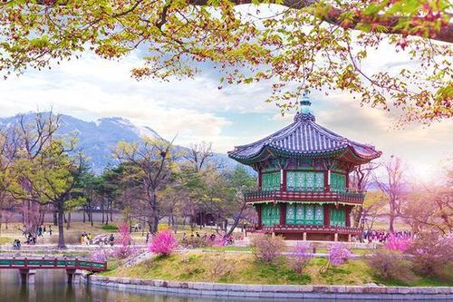 Khách du lịch tới Hàn Quốc sẽ được hoàn thuế gấp đôi?
