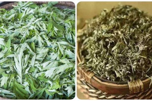 Loại rau mọc dại ở Việt Nam được coi là 'thần dược' với phụ nữ