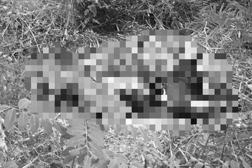 Hải Dương: Phát hiện thi thể người đàn ông tử vong gần cầu Hàn trên người có hình xăm