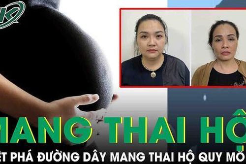 Quá trình triệt phá đường dây mang thai hộ quy mô lớn tại Hà Nội