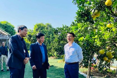 Huyện Thanh Trì: Bứt phá trong xây dựng nông thôn mới nâng cao, kiểu mẫu