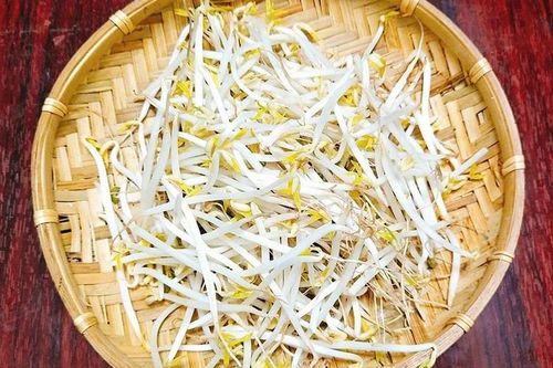 7 cách phân biệt giá đỗ ngâm hóa chất và giá đỗ sạch
