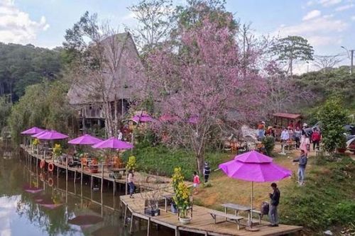 Hoạt động du lịch của Gia Lai trong năm 2023 có nhiều khởi sắc