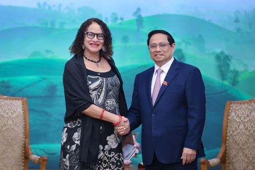 Thúc đẩy để sớm hoàn tất quá trình Brazil công nhận quy chế kinh tế thị trường của Việt Nam