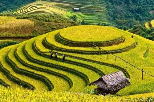 Yên Bái: Mù Cang Chải phát triển thêm 20 sản phẩm du lịch mới