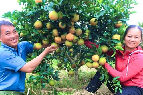 Trang bị kiến thức bán hàng qua mạng cho nông dân Nghệ An
