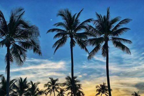 Du lịch Phú Quốc 'thất sủng': Truy tìm 'gốc rễ' để đảo ngọc hồi sinh