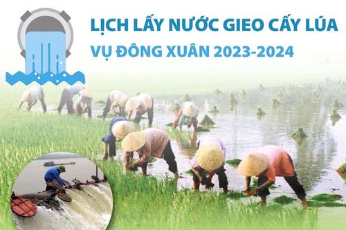 Lịch lấy nước gieo cấy lúa vụ Đông Xuân 2023-2024