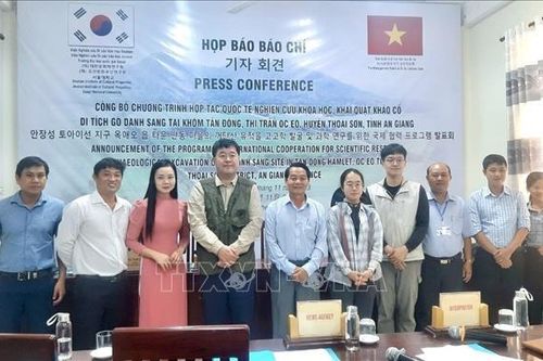An Giang: Sẽ khai quật khảo cổ di tích Gò Danh Sang