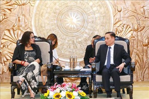 Trưởng ban Đối ngoại Trung ương tiếp Chủ tịch Đảng Cộng sản Brazil