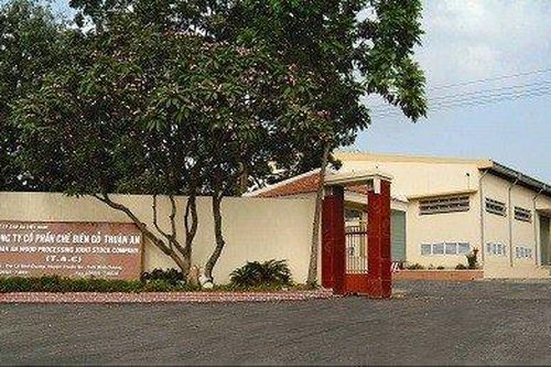 Một doanh nghiệp gỗ bị xử phạt vi phạm thuế