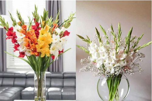 Cắm hoa đừng chỉ dùng nước lã: Thêm vài giọt này hoa tươi cả tuần không tàn
