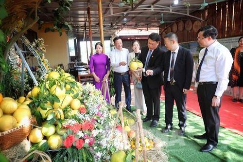Bắc Giang đẩy mạnh cung ứng nông sản tới các kênh phân phối