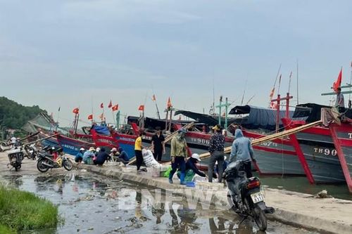 Thanh Hóa cần sớm giải quyết tình trạng bồi lắng tại các cảng cá