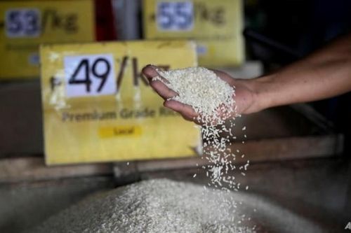 Cú sốc giá gạo toàn cầu và an ninh lương thực ở ASEAN