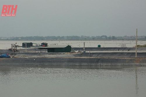 Xử lý nghiêm vi phạm hành lang đê điều