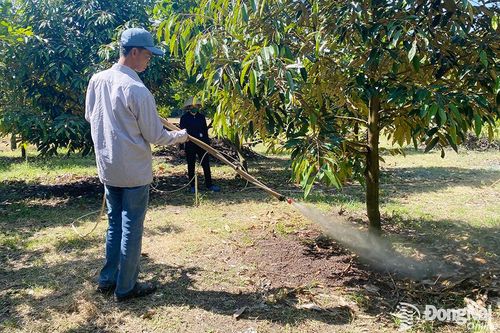 Nhân rộng mô hình ứng dụng công nghệ sinh học vào sản xuất