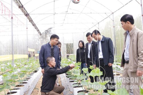 Kiểm tra xây dựng nông thôn mới tại Bắc Sơn