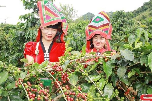Sáp nhập - mở rộng không gian phát triển mới: Kỳ II: Tạo tiềm lực, vững niềm tin