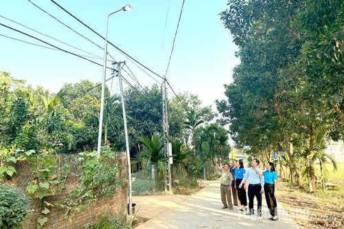 Khánh thành Công trình 'Đường điện thắp sáng đường quê' xã Xuân Vân