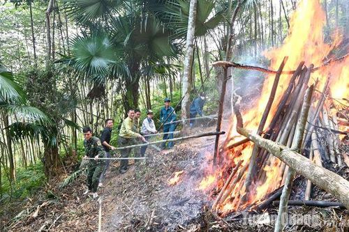 Chiêm Hóa diễn tập ứng phó cháy rừng và tìm kiếm cứu nạn đạt xuất sắc