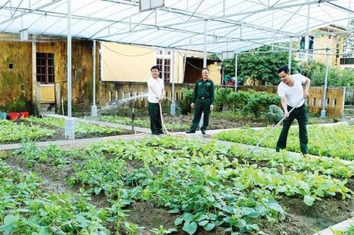 Xây dựng căn cứ hậu cần vững chắc