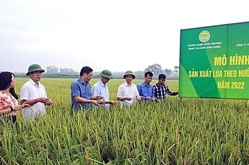 Vĩnh Phúc hướng đến nông nghiệp thông minh