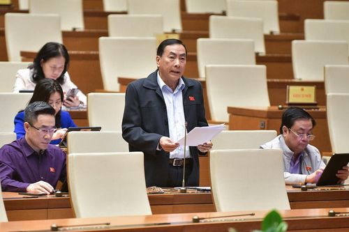 Ngăn chặn tình trạng trả giá cao rồi bỏ cọc đấu giá bằng cách xử lý hình sự?