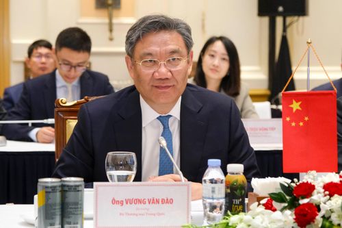 Gỡ vướng cho xuất khẩu tôm hùm bông sang Trung Quốc