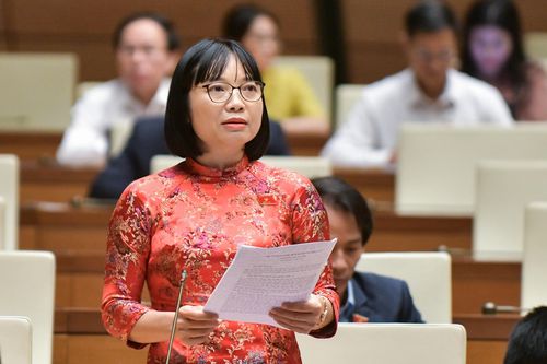 Kiến nghị tăng tiền đặt cọc để hạn chế 'cò' đấu giá tài sản
