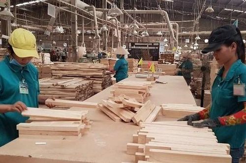 Kết quả kinh doanh 9 tháng giảm mạnh, Gỗ Thuận An (GTA) còn bị phạt và truy thu thuế hơn 134 triệu đồng