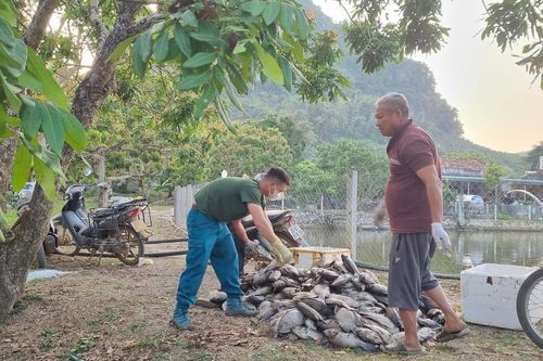 Sơn La: Cần làm rõ dấu hiệu gây ô nhiễm nước suối Pàn