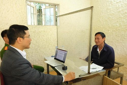 Nhổ cỏ dại và tẩy độc đất trồng