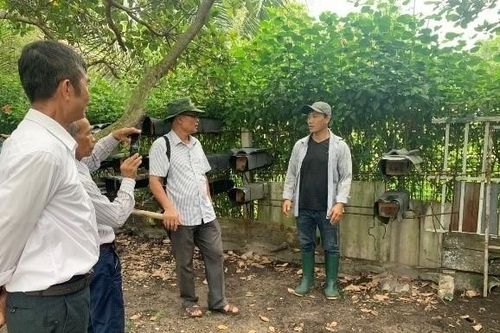 Làm tổ lạ lắm, anh nông dân Bà Rịa-Vũng Tàu nuôi ong dú