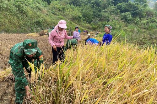 Giúp dân thoát nghèo bằng những việc làm thiết thực