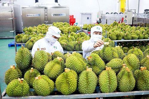 Trung Quốc sẽ thúc đẩy mở cửa thị trường cho nông sản Việt