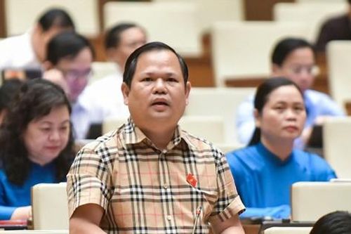 Đại biểu Quốc hội đề nghị xử lý hình sự hành vi bỏ cọc đấu giá