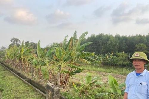 Bất ngờ khi truy thu thủy lợi phí