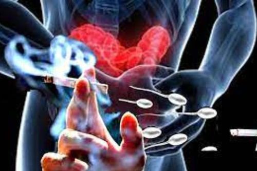 Hút thuốc lá gây nên hàng loạt vấn đề nguy hại cho sức khỏe sinh sản