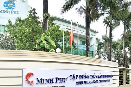 Gia đình bà Chu Thị Bình sắp thu về 55 tỷ đồng tiền cổ tức, bất chấp việc Thủy sản Minh Phú đang thua lỗ