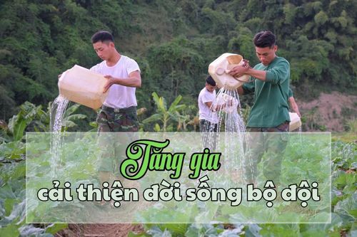 Tăng gia cải thiện đời sống bộ đội