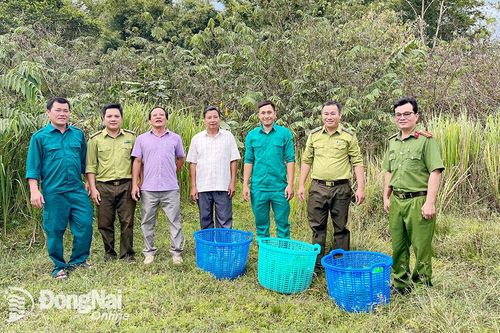 Vườn quốc gia Cát Tiên thả về rừng 18 con cheo cheo tịch thu từ các vụ săn bắt trái phép