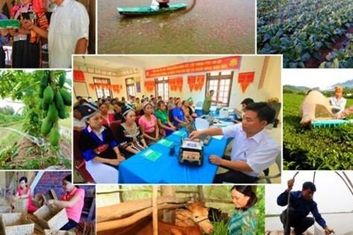 Hướng tới hệ thống an sinh toàn diện, bao phủ