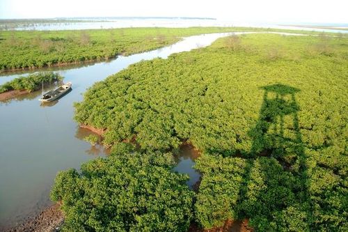 Dịch vụ môi trường rừng đã thu được gần 3.100 tỷ đồng