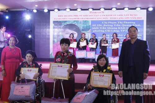 Biểu dương 66 phụ nữ khuyết tật có việc làm, thu nhập ổn định xây dựng gia đình hạnh phúc