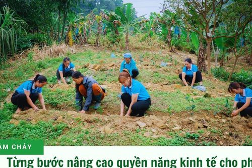 Từng bước nâng cao quyền năng kinh tế cho phụ nữ