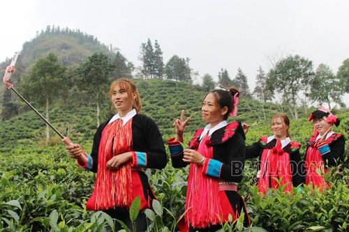 Những đôi tay thêu hoa trên áo