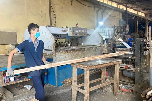 Nâng cao giá trị rừng trồng