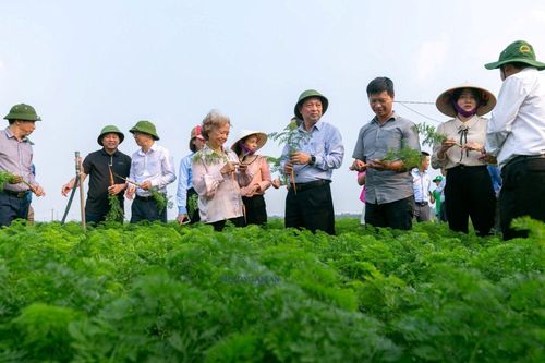 Triển khai kế hoạch sản xuất nông nghiệp năm 2024 các tỉnh phía Bắc
