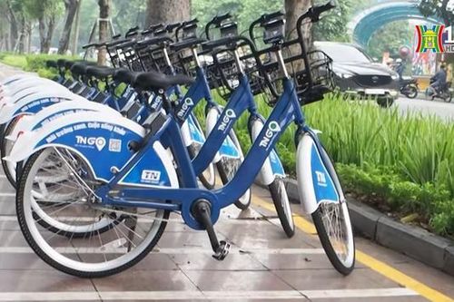 Nghiên cứu bố trí hai tuyến đường dành riêng cho xe đạp